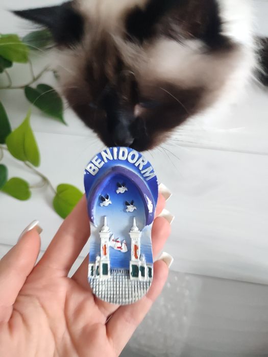 Magnes na lodówkę Hiszpania Benidorm niebieski nowy klapek japonek
