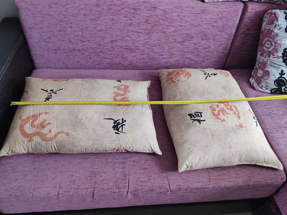 Подушка з гречаним лушпинням 2шт.