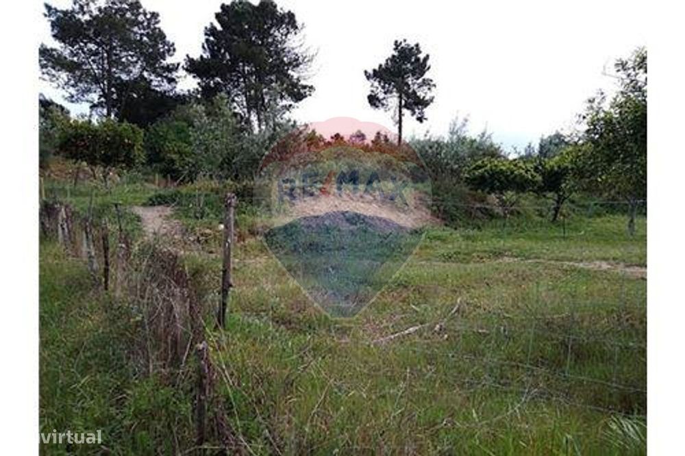 Moradia T3 para venda — Carregueira, Santarém