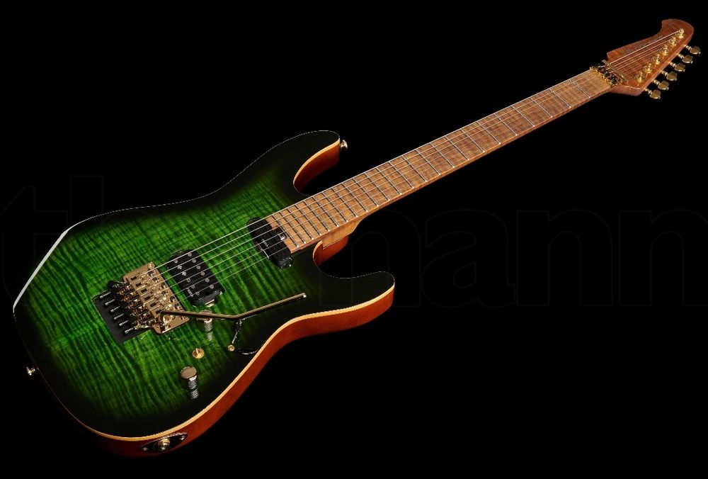 Harley Benton Guitar MAX Fusion Signature EF