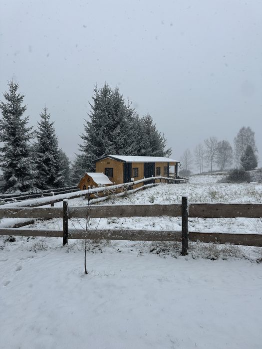 Domek  z Jacuzzi Wichrowe Wzgórze 5 Rajcza