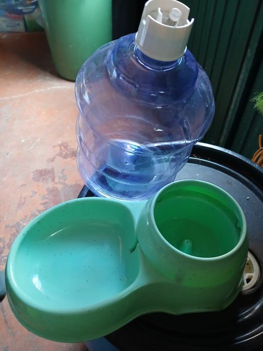 Bebedouro para animais