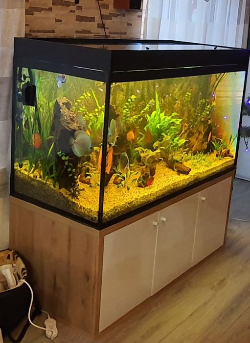 Akwarium 600l z szafką i pokrywą