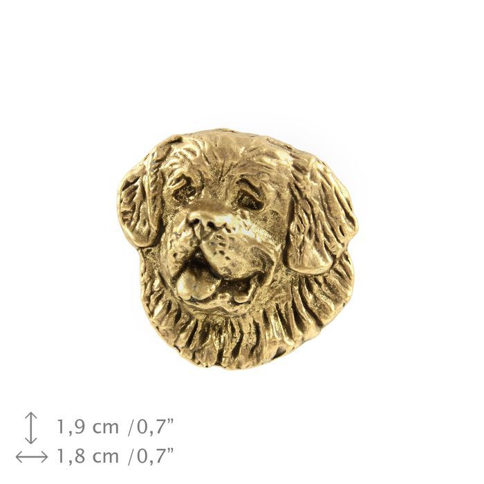 Bernardyn pin pozłocony w pudełku Art-Dog