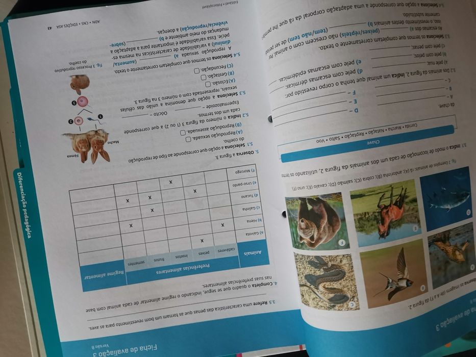 Dossier com testes, questões aula para apoio ao estudo ADN 5