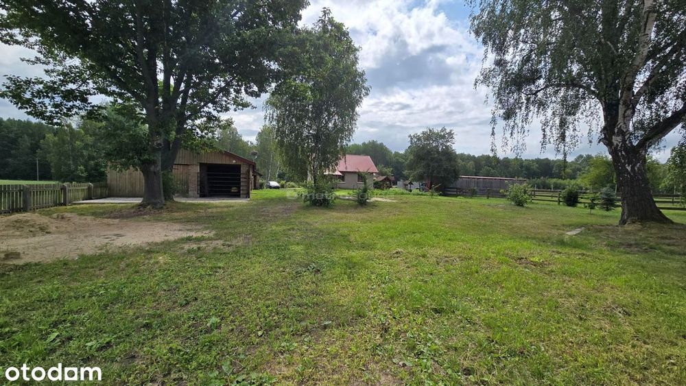 Zdjęcie 7