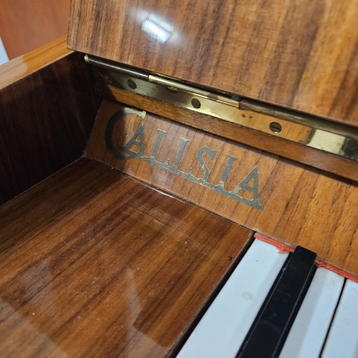 Pianino calisia po generalnym remoncie