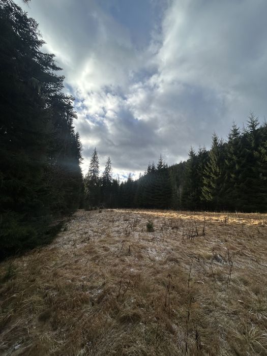 Остання ділянка біля Говерли | 10 соток