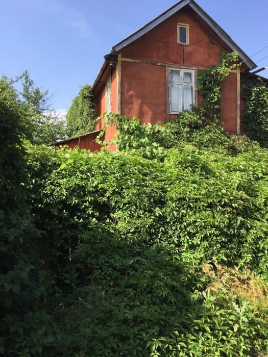 Дячя Осокорки, біля Дніпра