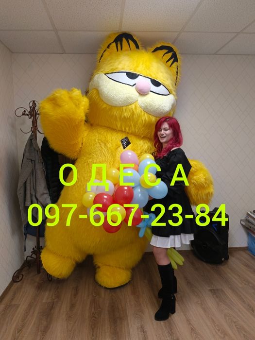 Белый Мишка, Гусь- Обнимусь, Кот Гарфилд, Зайка, Одесса, Поздравления