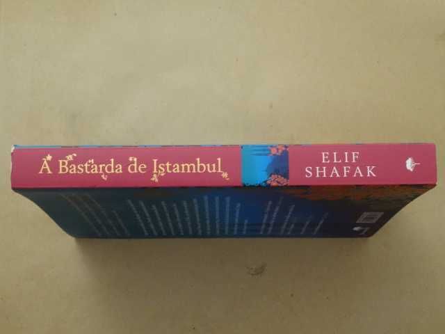 A Bastarda de Istambul de Elif Shafak - 1ª Edição