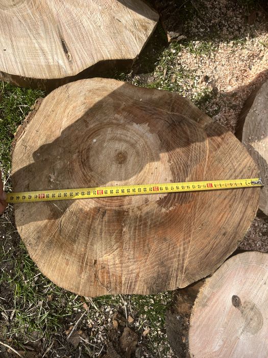 Sprzedam plastry drewna