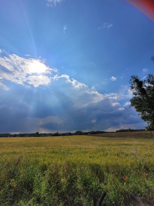Sprzedam działkę rolną