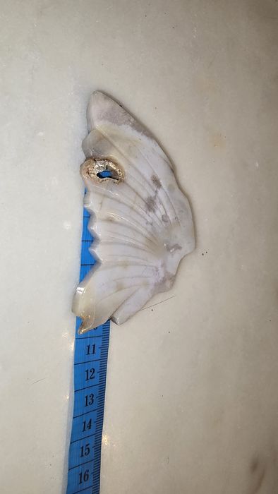 Borboleta agata flor