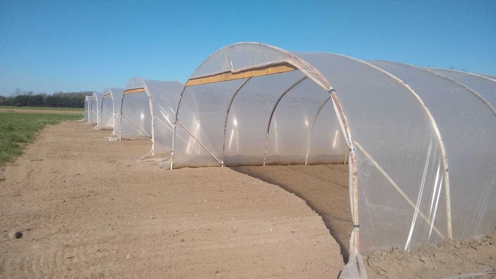 Tunel konstrukcja tunelu foliowego z rury  fi38