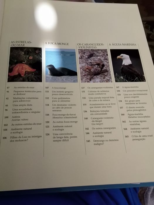 Vida Selvagem : Animais dos litorais e ilhas, Animais dos bosques...