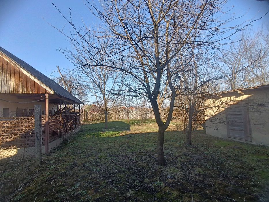 Велике БУДИНКОВОЛОДІННЯ у с. Балажер 7км до Берегова, ділянка 16 соток