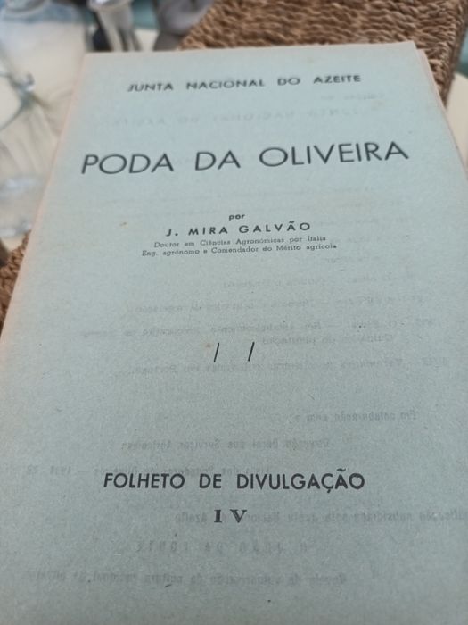 Interessante publicação relacionada com a produção de azeite