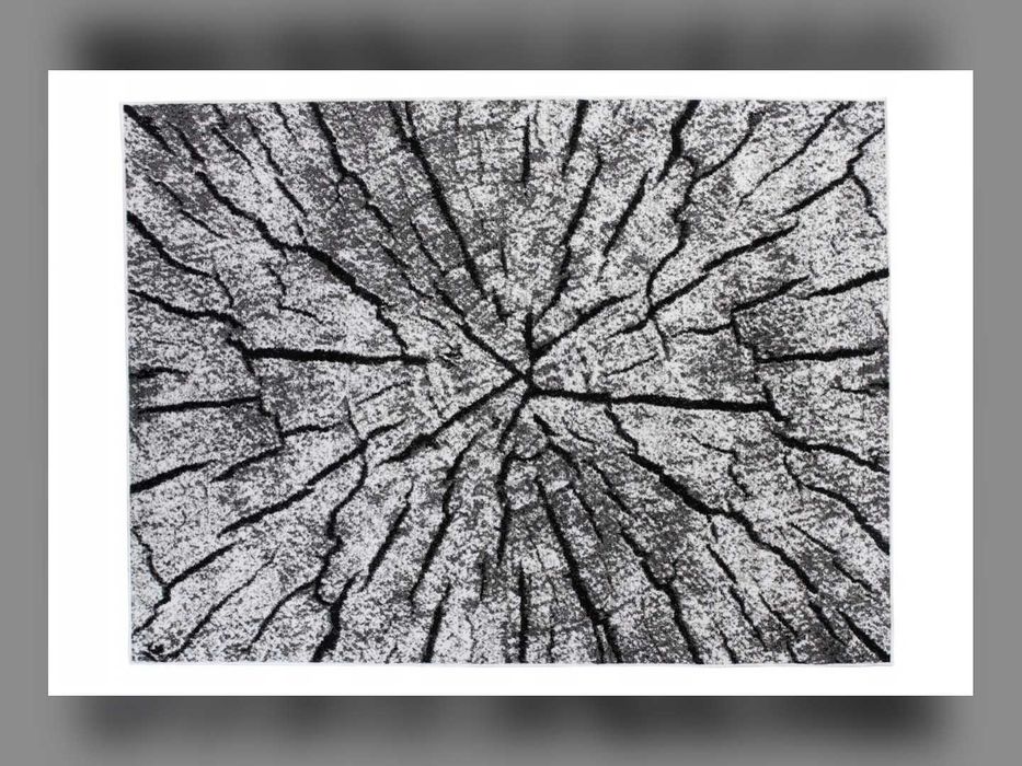 Nowy Dywan Canvas 160x220 Cm Pień Drzewa Szary Czarny BCF Nowoczesny