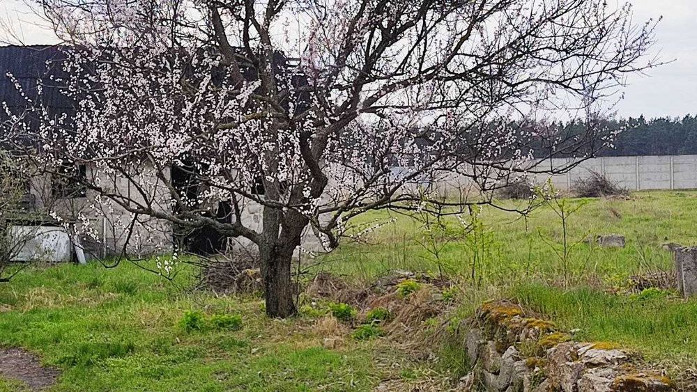 Найкраща пропозиція в с. Лебедівка!