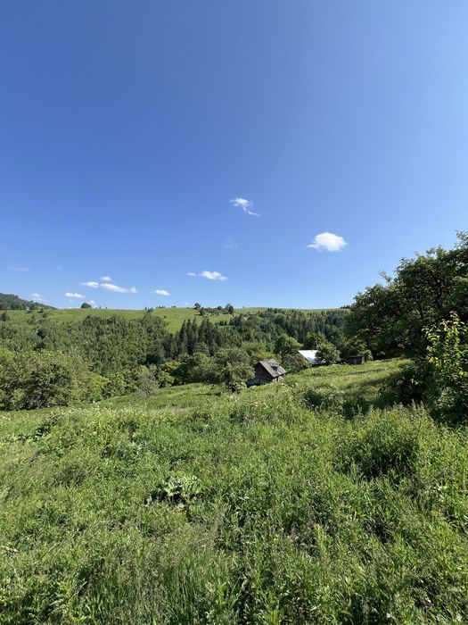 Продам ділянку в горах з гарним краєвидом