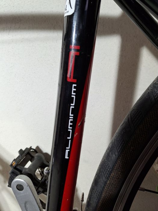 Rower Kolarzówka Szosa specjalized secteur sport