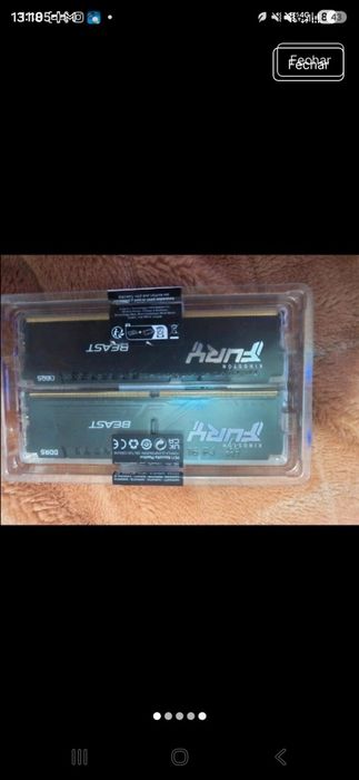 Mesmoria ram  fury beast