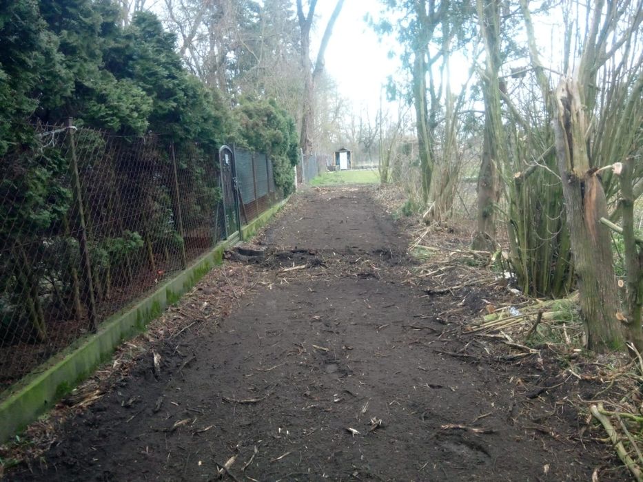 Czyszczenie działek,mulczowanie,karczowanie