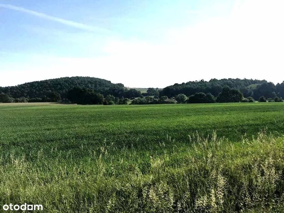 Mirsk/ Świeradów działki budowlane widokowe