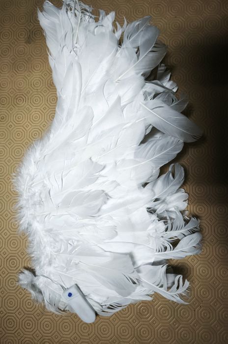 Asas anjo para criança com led