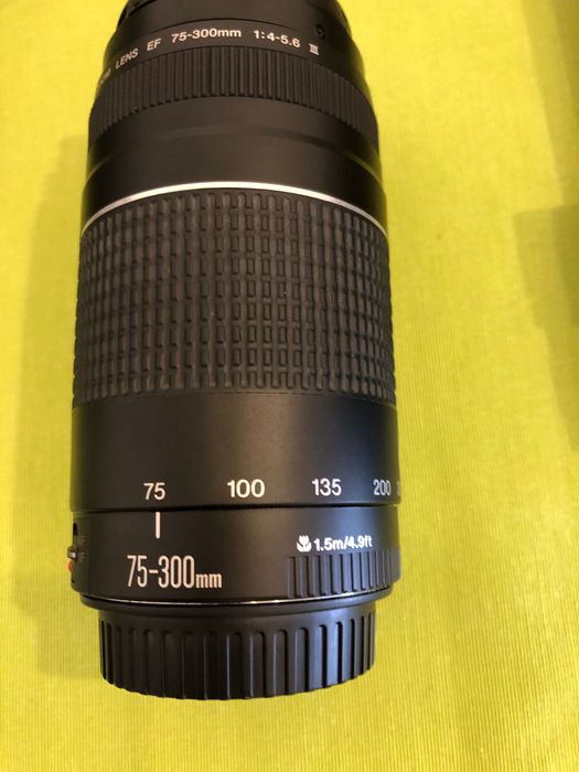 Máquina Fotográfica Canon EOS 250D + CANON EF 75-300MM + Acessórios