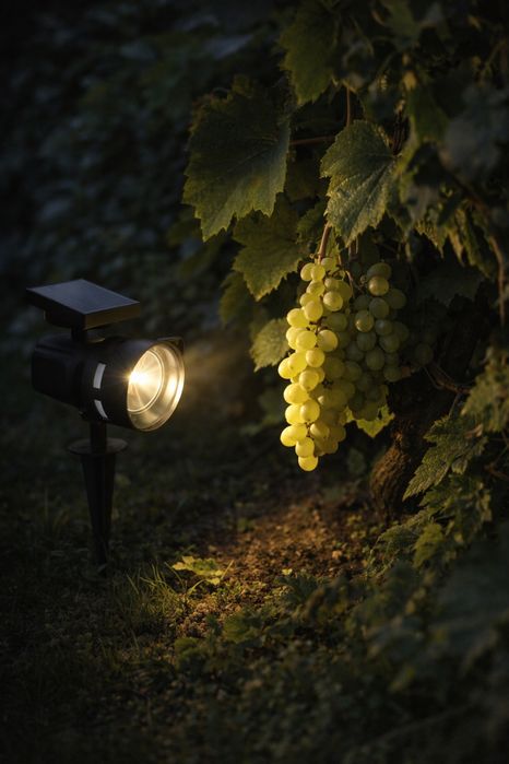 Reflektor solarny. Lampa ogrodowa solarna