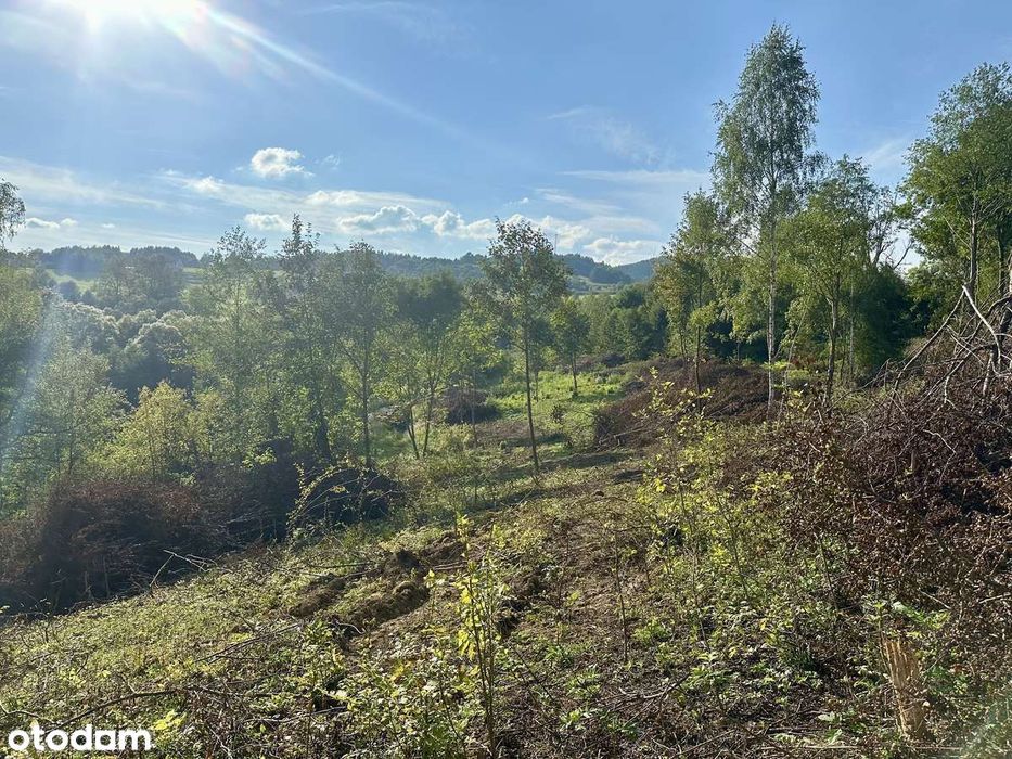 Solina 1,97 ha | MPZP | pod inwestycję (podział/domki) | PUM do 2800m2