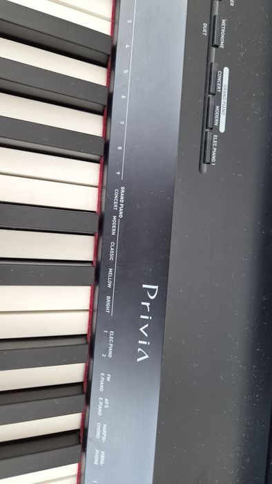 Pianino Casio privia px 160