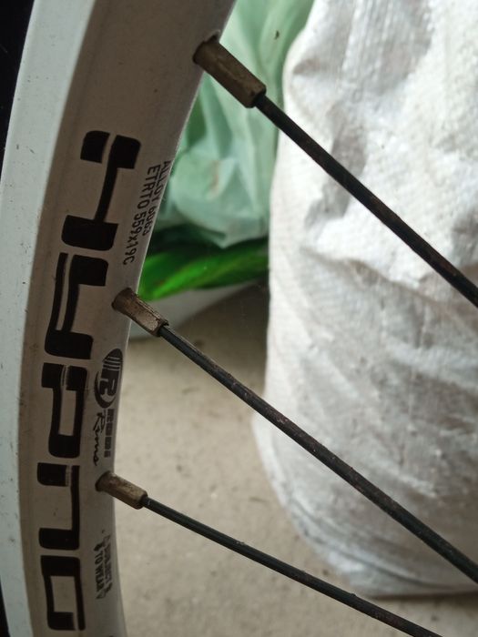 Bicicleta feminina (Weed bike)