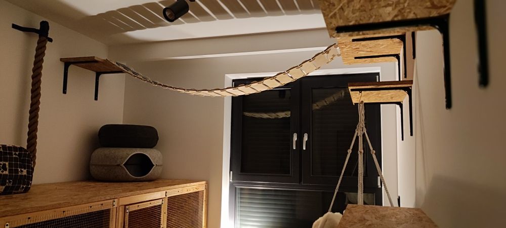 Koci hotel w Tarnowskich Górach