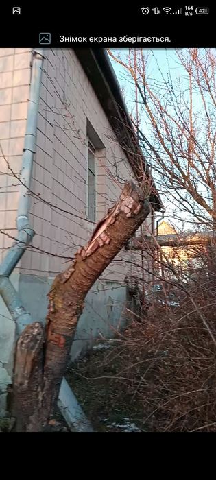 Стеблів. Продам дом со своим берегом виходом к воде