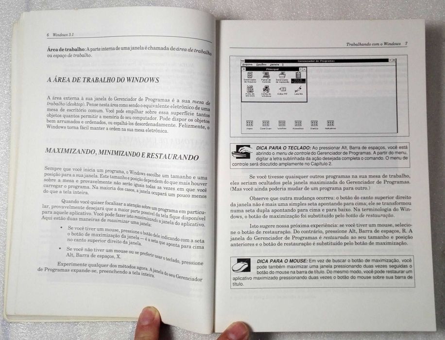 Livro Windows 3.1
