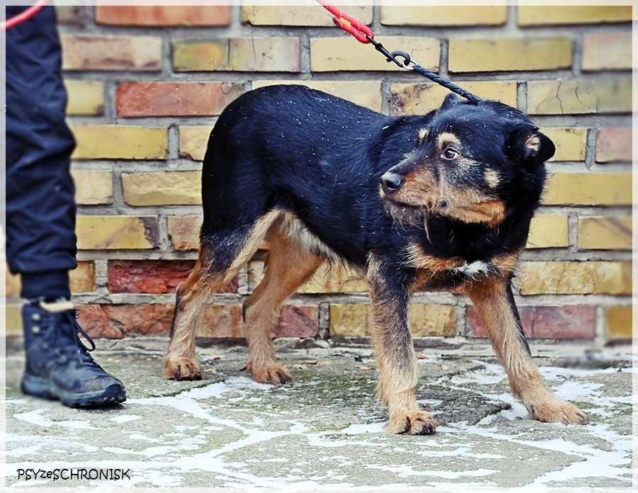 Wacek – „przepraszam, że żyję” – pokaż mu, że jest wyjątkowy