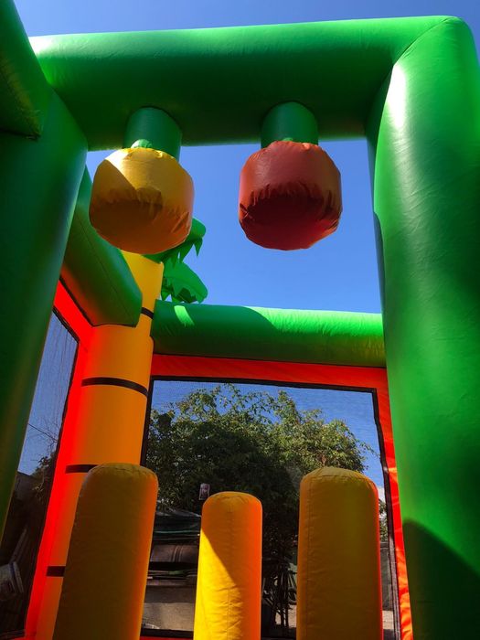 Insuflável Castelo Leão (Novo)