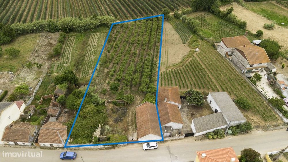 Terreno misto com 2.573 m² | Barrocalvo, Carvalhal