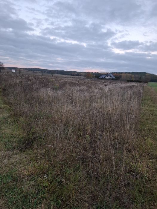 Działka 2200m2 Warunki zabudowy