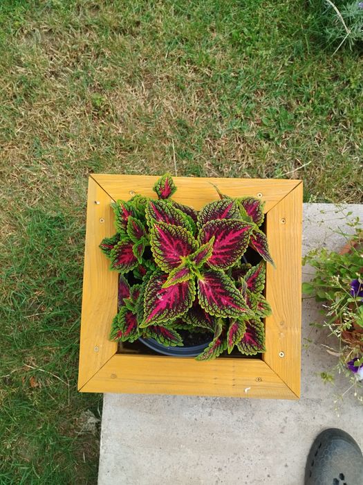 Donica drewniana na wymiar.