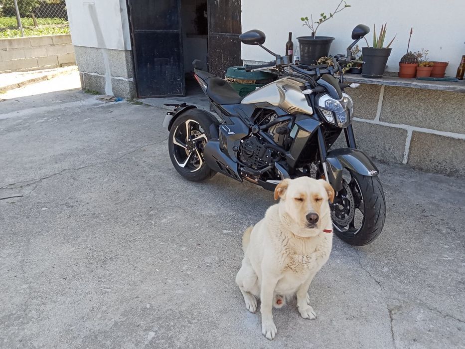 350cc Zontes com apenas 300km