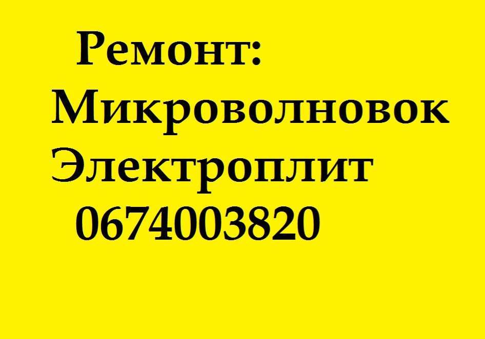 Ремонт микроволновок и электроплит.