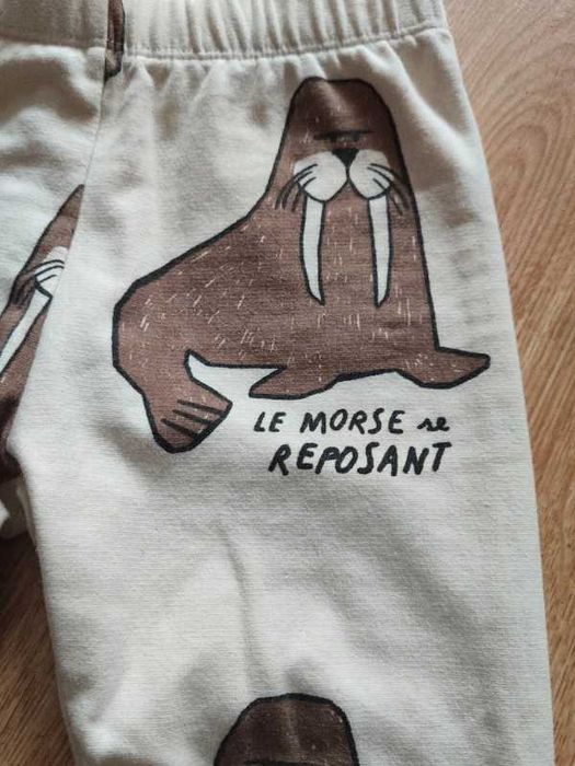Legginsy 116 Zara morsy