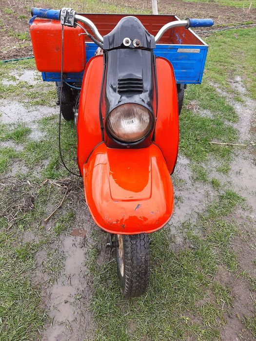 Муравей с документами