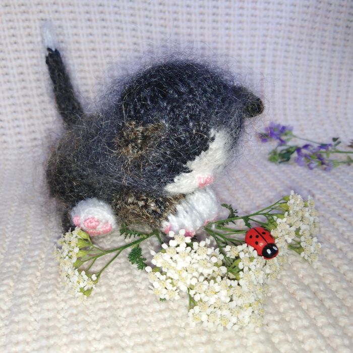 Кошеня - дарунок на свята