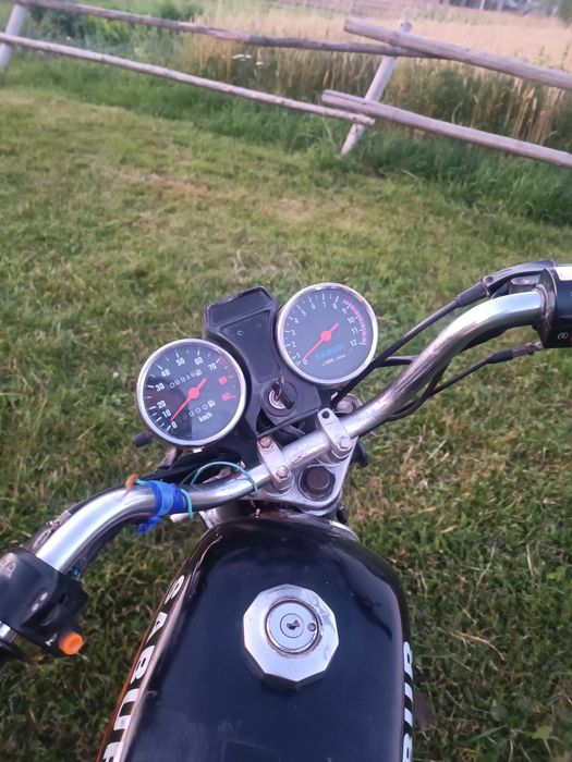 Альфа Сабур 110см.