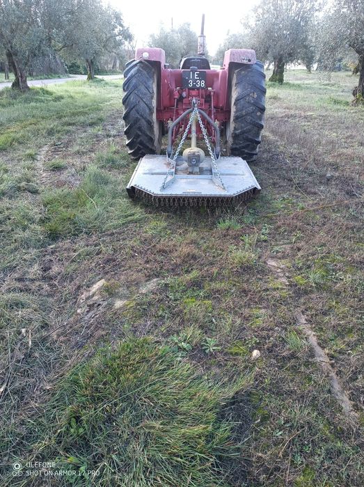 Limpeza de terrenos e desmarcação